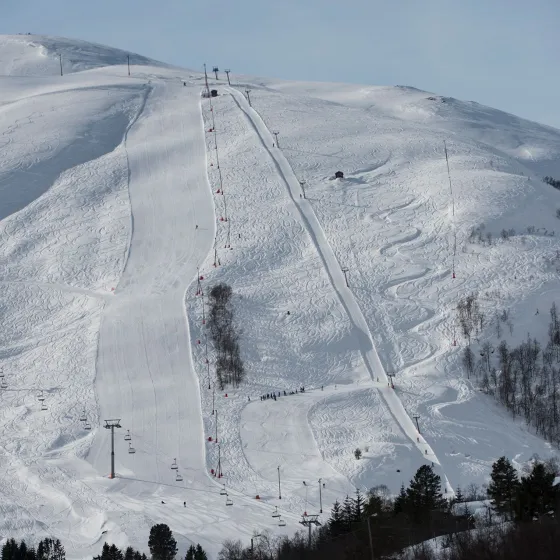 Løyper_stående