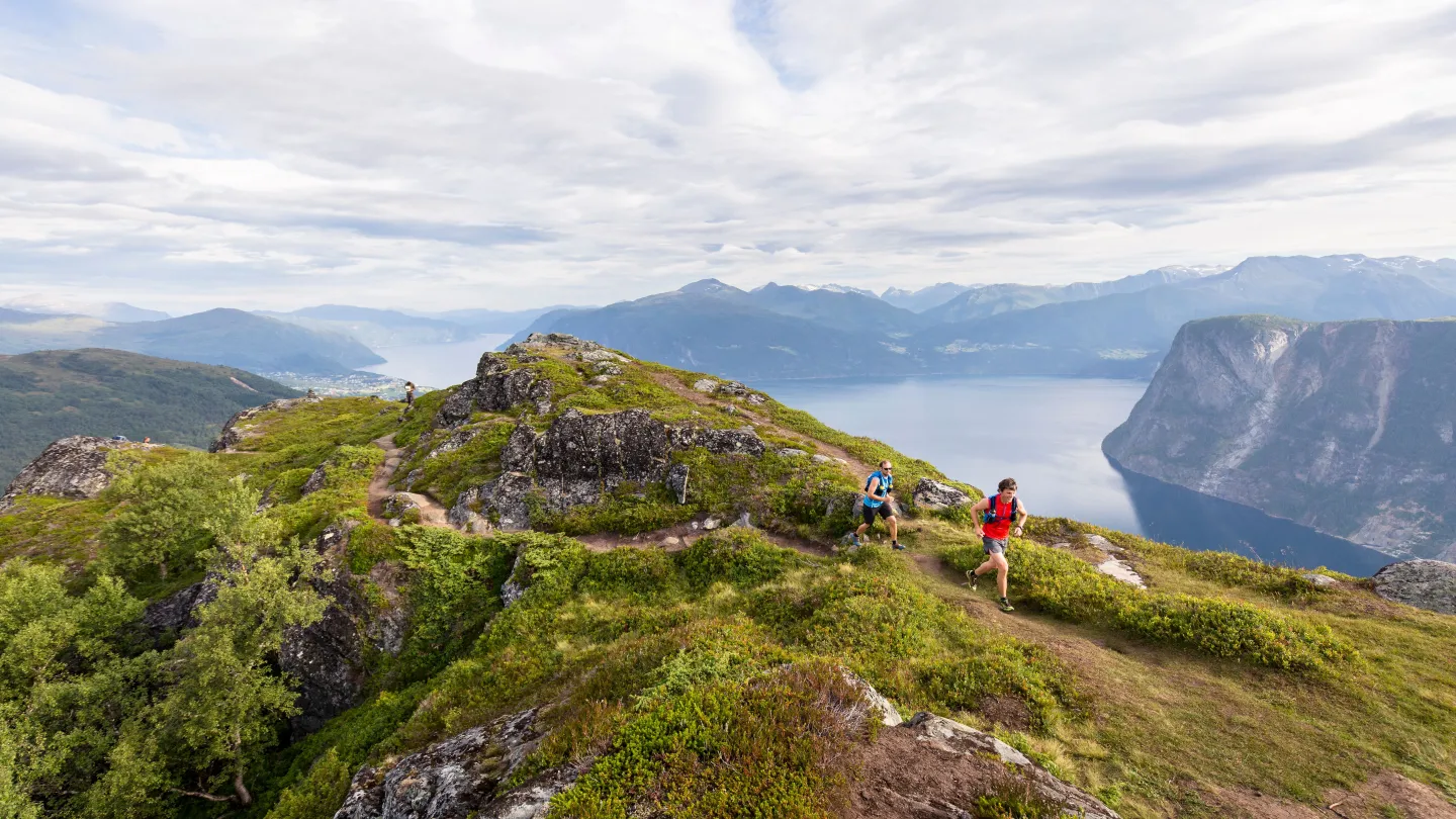 Sommer - løping i fjellet 